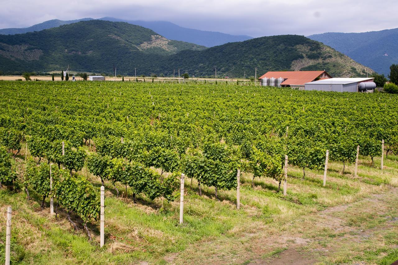 Shaloshvili'S Cellar Hotel Shilda Екстериор снимка