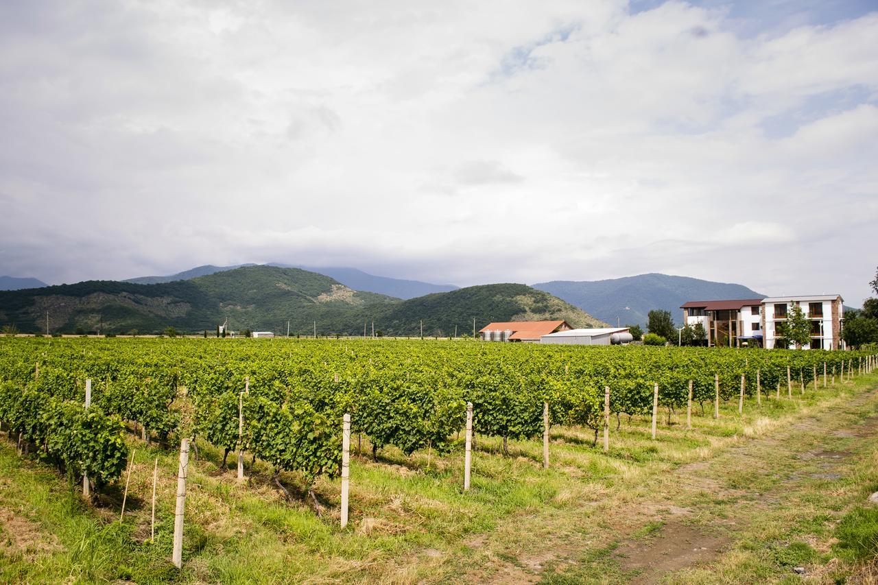 Shaloshvili'S Cellar Hotel Shilda Екстериор снимка