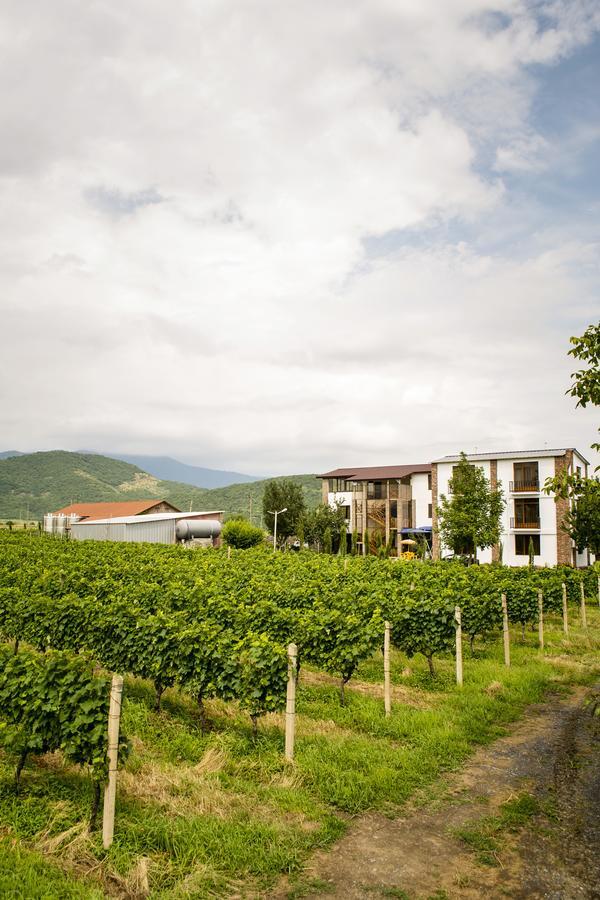 Shaloshvili'S Cellar Hotel Shilda Екстериор снимка