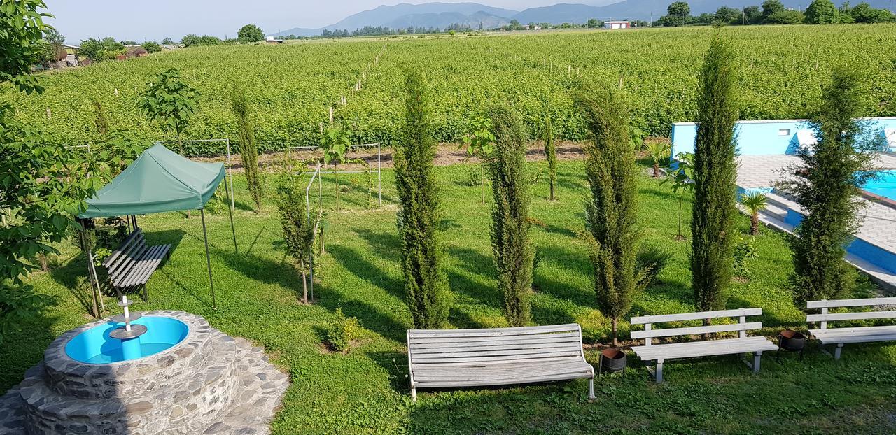 Shaloshvili'S Cellar Hotel Shilda Екстериор снимка