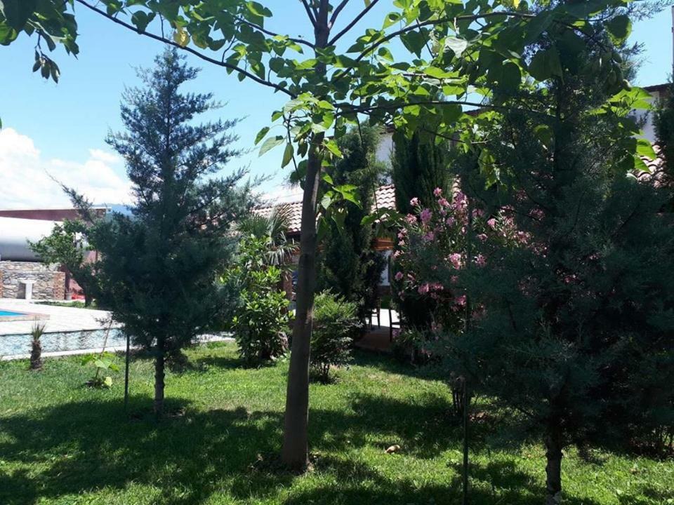 Shaloshvili'S Cellar Hotel Shilda Екстериор снимка